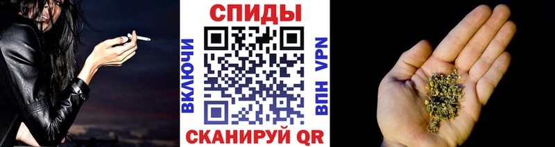 shop официальный сайт Буйнакск Бутират BDO