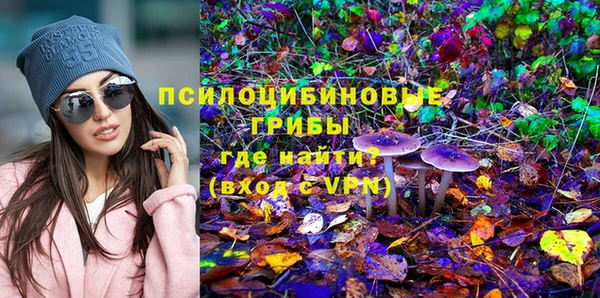 бошки Белоозёрский