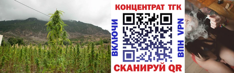 ТГК Wax  Буйнакск 